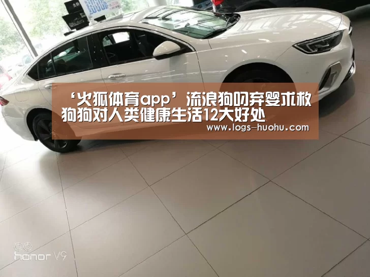 火狐体育直播